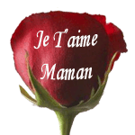 conseil de maman